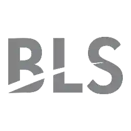 BLS E-Services Ltd