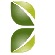 Capital Trust Ltd