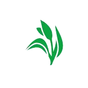 Dhunseri Tea & Industries Ltd