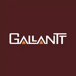 Gallantt Ispat Ltd.