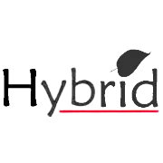 Hybrid Financial Services Ltd