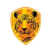Rajputana Industries Ltd